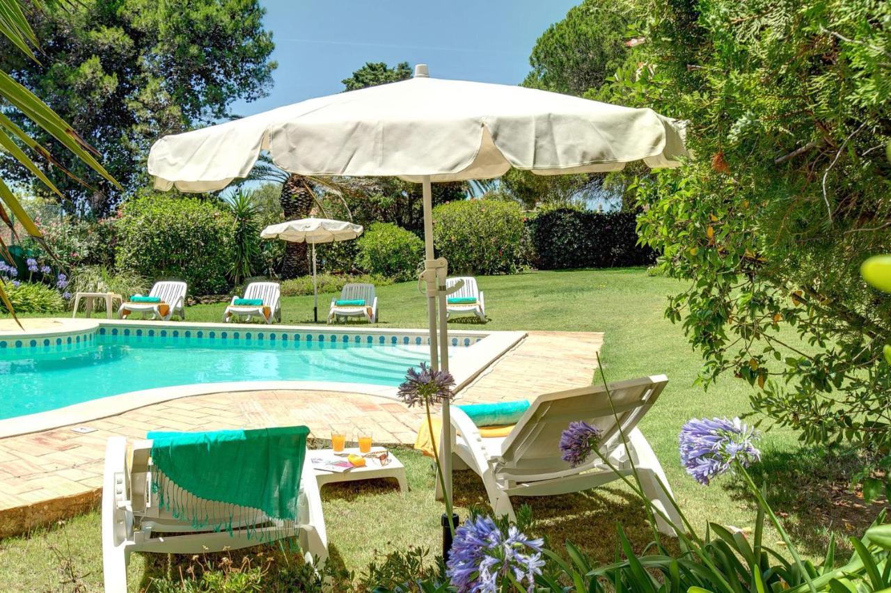 Villa Sounia By *