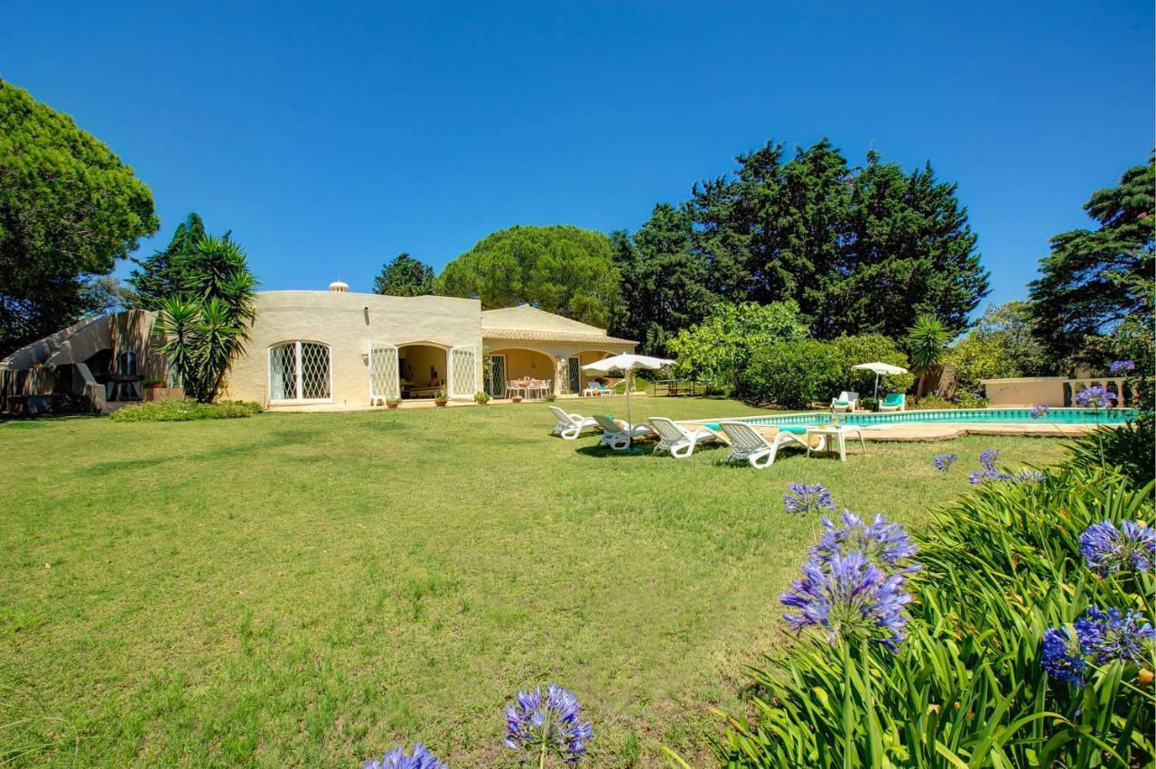 Sounia By Villa Lagos